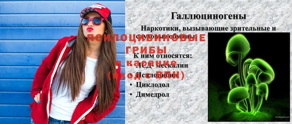 spice Липки